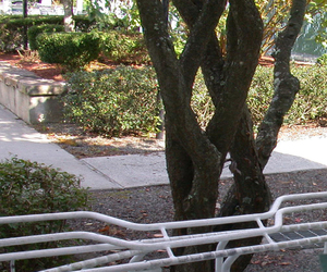 4-after_300x250.jpg